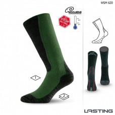 Merino Socken WSM 620 grün 